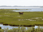 Assateague State Park