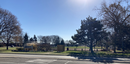 McNally Park