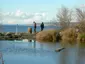 Golden Gardens Park