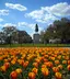 Washington Circle Park