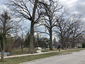 Maple Park