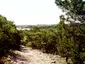 Cleburne State Park