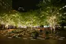 Zuccotti Park