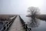 Point Pelee National Park