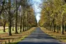 Clumber Park
