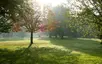 Tooting Bec Common