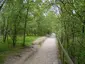 Shorne Woods Country Park