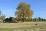 Trumpington Meadows Country Park