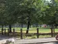 Bingfield Park
