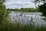 Dinton Pastures Country Park