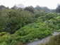 Ventnor Botanic Garden