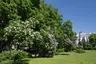 Regional Council Square Garden