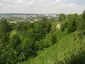 Регіональний ландшафтний парк «Знесіння»