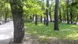 Сквер Шевченка