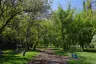 Friendship Square Garden