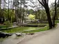Парк Сосновий Бір