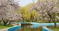 Arboretum of Victory