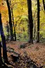 Bâtie-Wald