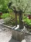 Johan Helmich Romans Park