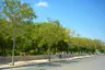 Parc Municipal La Granja