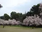 Parque Quinta de los Molinos