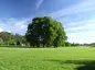 Kaštieľsky park