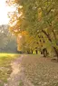 Каменички парк