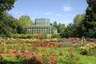 "Dimitrie Brandza" Botanic Garden