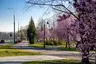 Sielecki Park in Sosnowiec