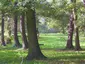 Park Wschodni