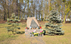 Evangelical cemetery in Brodnica