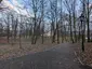 Park dworski