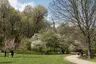 Park Agrykola