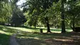 Park Modrzewie