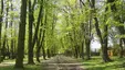 Park Miejski im. Bohaterów Monte Cassino
