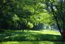 Park Mieroszewskich