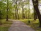 Park imienia Wojciecha Bednarskiego
