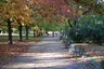 Park Wielkopolski