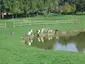 Parco di Serravalle
