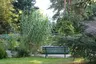 Arboretum