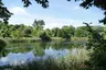Botanischer Garten