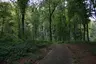 Volksgarten Lütgendortmund