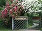 Aromatic Garden