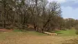 Neukladow Park