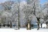 Marienfriedhof