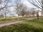 Südstadtpark (Halle)