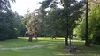 Sanatorium Park