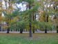 Ülejõe park