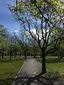 Rannapark