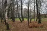 Vana-Pärnu metsapark